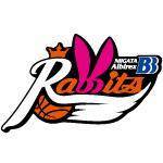 Wanita Kelinci BB Albirex Niigata